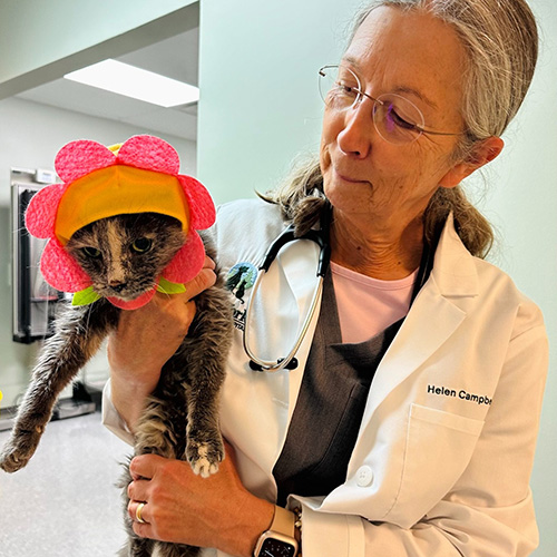 Picture of Dr. Campbell and Old York Vet cat, Lori.