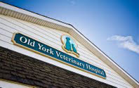Picture of the Old York Veterinary Clinic