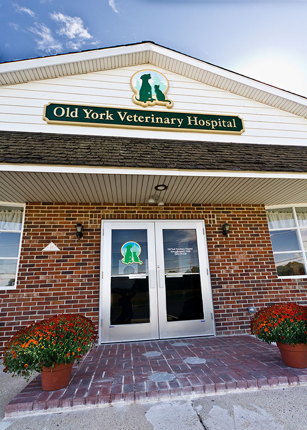 Picture of Old York Veterinary Hospital Entrance