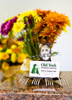 Picture of Old York Vet business card and flowers.
