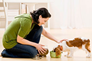 picture of a woman feeding a dog